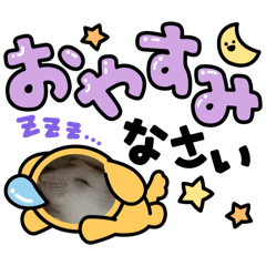 DAIFUKU_20241202124338