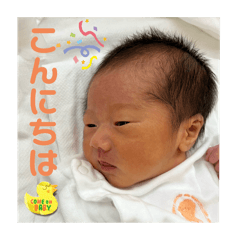 MIKI_20241202084655