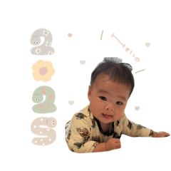 mai_20241202134526