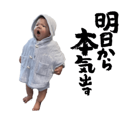 maki_20241202140040