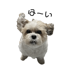 Bun_20241202120931
