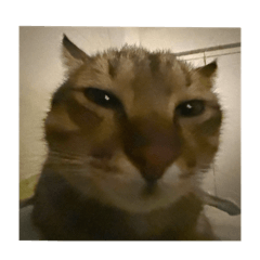 Ruby_20241201162433 – LINE stickers | LINE STORE