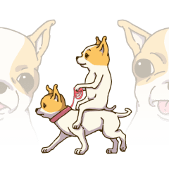 Motion Chihuahua EGGy Ver.5