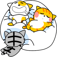 Three cute cats that can be used daily30