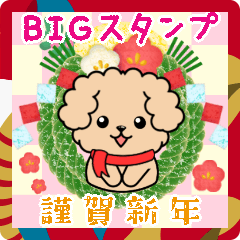 BIG toyPoodle dog New Year pretty14