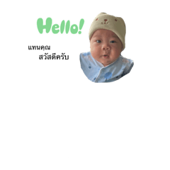 OH HO_20241202165248