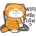 【泰文版】Lan Lan Cat: Happy Sounds