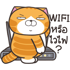 เหมียวซ่า : เสียงแห่งความสุข