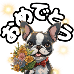 Cute Boston Terrier to celebrate