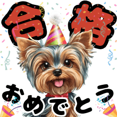 Cute Yorkshire Terrier to celebrate