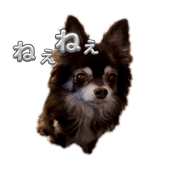 mii_20241202162047