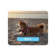 GON_20241202160916