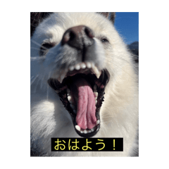 I_20241202180535