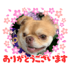 makiko_20241202162933