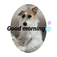 bella_20241202190657