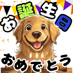 Cute Golden Retriever to celebrate