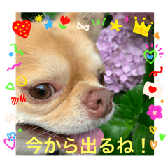 makiko_20241202195138