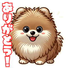 Fluffy Pomeranian: Cute Expressions