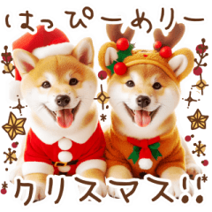 Shiba Inu year-end and New Year holidays