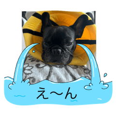 mai_20241202173036