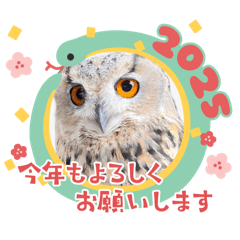 saku_20241202205740