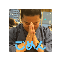 SHARK_20241203001826
