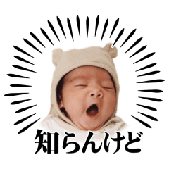 akiko_20241203031303