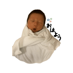 coco_20241203055233