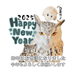 saku_20241202213436