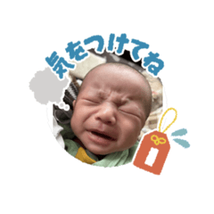 piyo_20241203085411