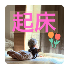 kitatomo_20241203114523