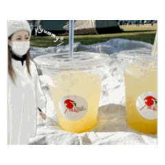 momo_20241202220809