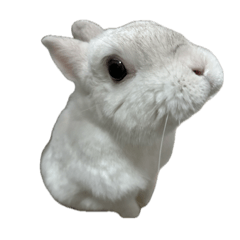 OllietheRabbit