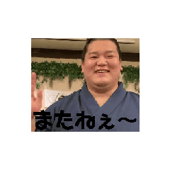 SHARK_20241202234619