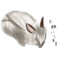 Minato_20241202205428