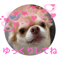 makiko_20241202234649