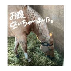 Asupon_20241203020812