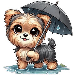 Rainy Day Fun with Yorkie