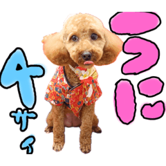 kinako_20241203032256