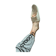 awayuki_20241202224312