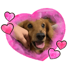 choco_20241203151041