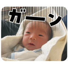 aoto1123