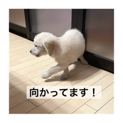 bum_20241203143958