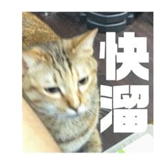 睡覺的劉糖糖醒了