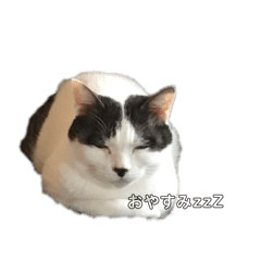 monoemon