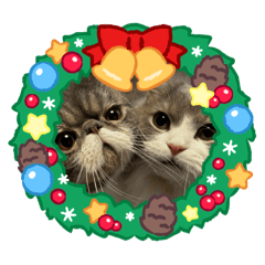 middle&haniwa_20241203191947