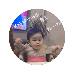 n_20241203210220