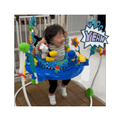 Hikari_20241204102541