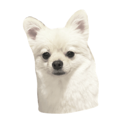 n_20241203181150