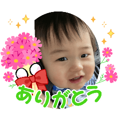 king_20241204002642